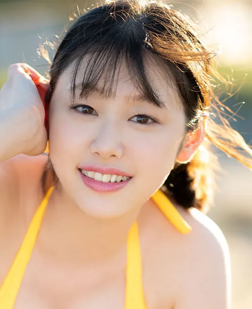 九重灯火 古装权谋热播电视剧全集